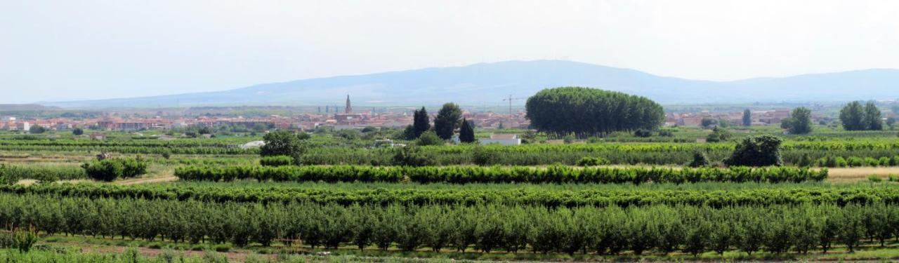 Paisajes Del Ebro Alojamiento Villa Rincon de Soto Kültér fotó